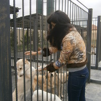 azerbaijan_animal_rescue_center_041013_10.jpg