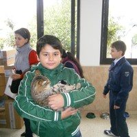 azerbaijan_animal_rescue_center_041013_8.jpg