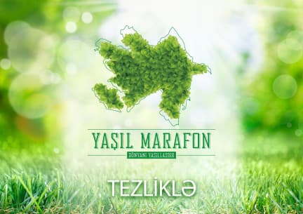 ResourceDetailTopImage