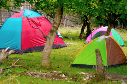 ResourceDetailTopImage