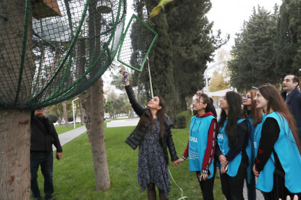 "Şəhər ekologiyası" layihəsi