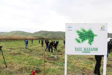 “Yaşıl Marafon” çərçivəsində Qubadlıda ağacəkmə aksiyası keçirilib