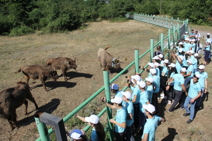 "Zubrları təbiətimizə qaytaraq!" ekoloji yay düşərgəsi 2019