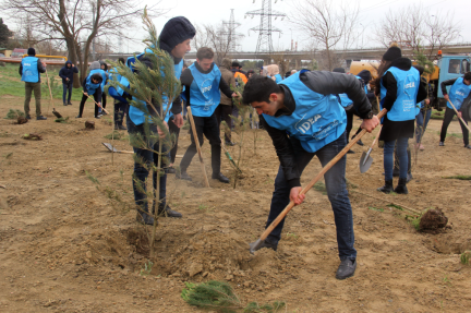 The Restore Greenery Project has Commenced