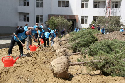 MİDA və IDEA İctimai Birliyi Ulu öndər Heydər Əliyevin doğum gününə həsr olunmuş ağacəkmə aksiyası təşkil etdi