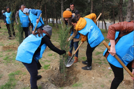 IDEA yaşıllıqların artırılması və keyfiyyətinin yaxşılaşdırılması proqramı çərçivəsində ağacəkmə aksiyalarına başlayıb.