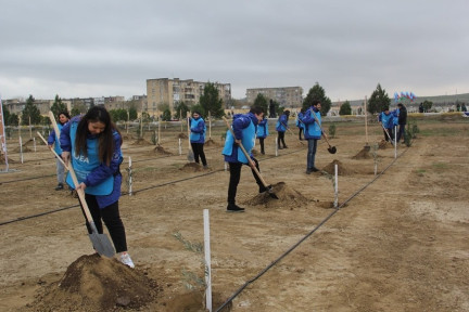 Yaşıl Marafon çərçivəsində genişmiqyaslı ağacəkmə aksiyaları keçirilib.