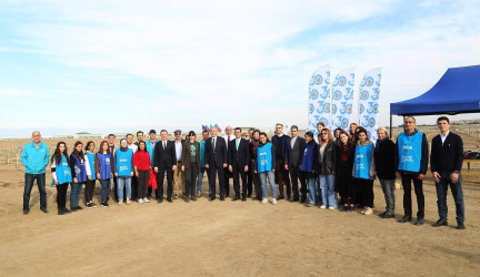 On the occasion of the 30th anniversary of the partnership between Azerbaijan and the UN, a mass tree-planting campaign took place