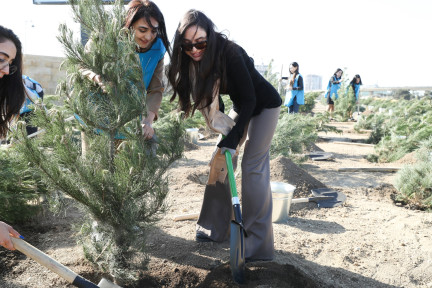 In the Nizami district of Baku, a tree planting campaign took place.