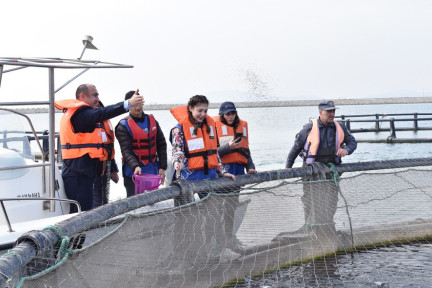 Caspian Trout Juveniles Released within Abundant Basins Project